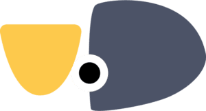 logo-colori-300×161